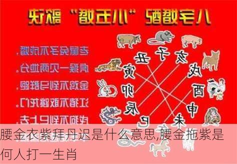 腰金衣紫拜丹迟是什么意思,腰金拖紫是何人打一生肖