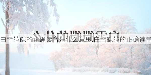 白雪皑皑的正确读音是什么意思,白雪皑皑的正确读音