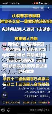 伏法的意思是什么意思_伏法什么意思?