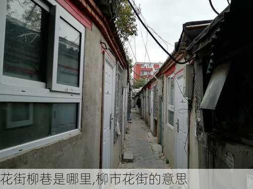 花街柳巷是哪里,柳市花街的意思