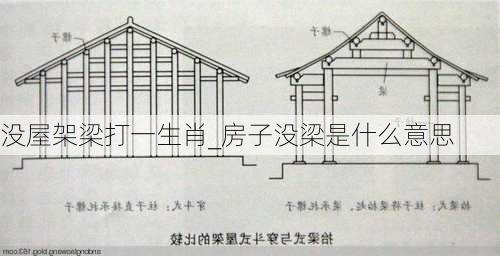 没屋架梁打一生肖_房子没梁是什么意思