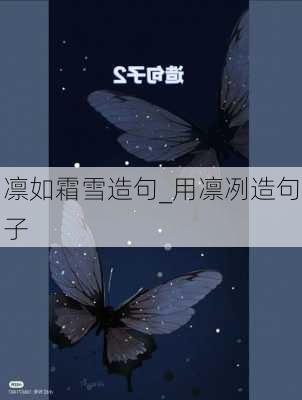 凛如霜雪造句_用凛冽造句子