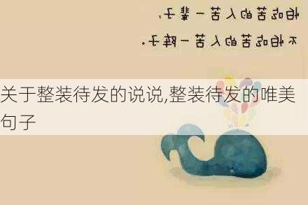 关于整装待发的说说,整装待发的唯美句子