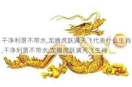 干净利落不带水,龙腾虎跃满天飞代表什么生肖,干净利落不带水,龙腾虎跃满天飞生肖