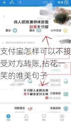 支付宝怎样可以不接受对方转账,拈花一笑的唯美句子