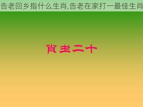 告老回乡指什么生肖,告老在家打一最佳生肖