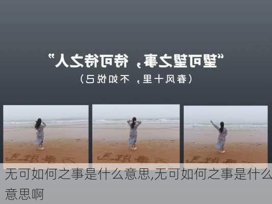 无可如何之事是什么意思,无可如何之事是什么意思啊