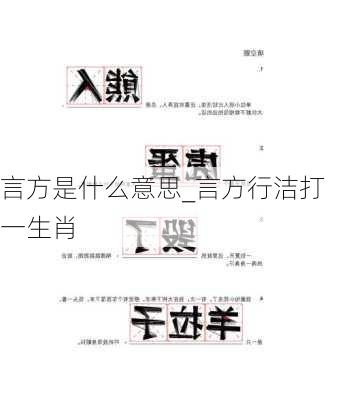 言方是什么意思_言方行洁打一生肖