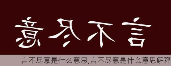 言不尽意是什么意思,言不尽意是什么意思解释