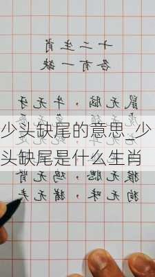 少头缺尾的意思_少头缺尾是什么生肖