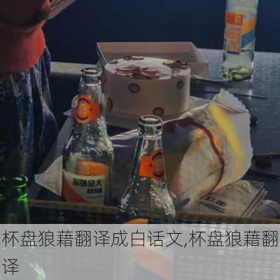 杯盘狼藉翻译成白话文,杯盘狼藉翻译