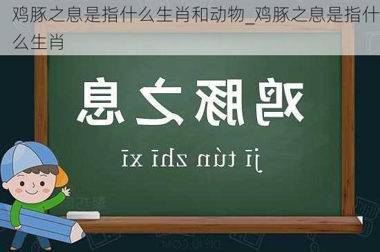 鸡豚之息是指什么生肖和动物_鸡豚之息是指什么生肖