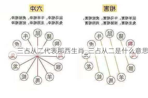 三占从二代表那西生肖_三占从二是什么意思