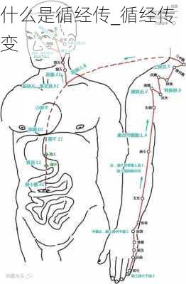 什么是循经传_循经传变