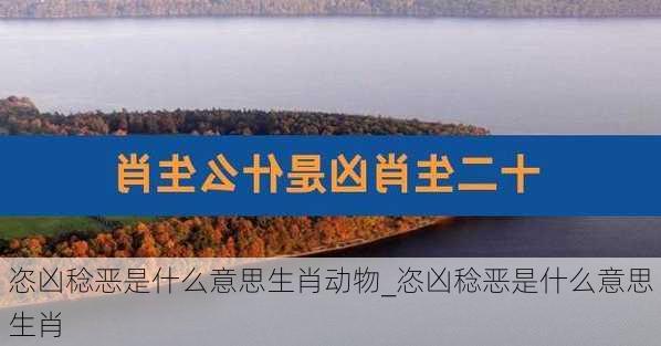 恣凶稔恶是什么意思生肖动物_恣凶稔恶是什么意思生肖