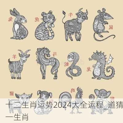 十二生肖运势2024大全运程_道猜一生肖