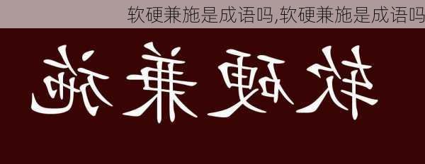 软硬兼施是成语吗,软硬兼施是成语吗