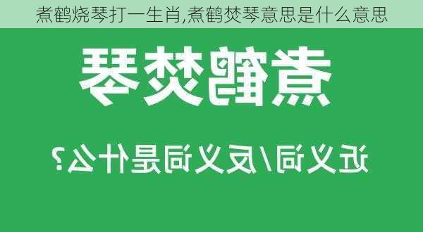 煮鹤烧琴打一生肖,煮鹤焚琴意思是什么意思