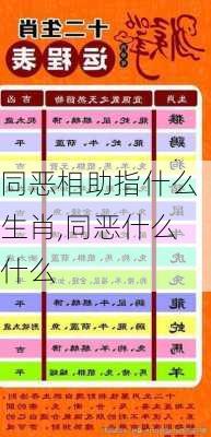 同恶相助指什么生肖,同恶什么什么