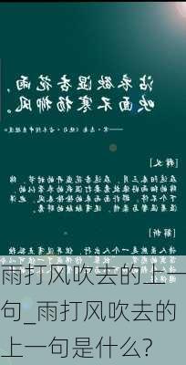 雨打风吹去的上一句_雨打风吹去的上一句是什么?