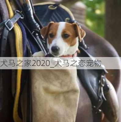 犬马之家2020_犬马之恋宠物