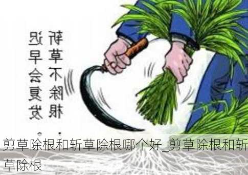 剪草除根和斩草除根哪个好_剪草除根和斩草除根