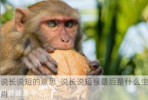 说长说短的意思_说长说短猴最后是什么生肖