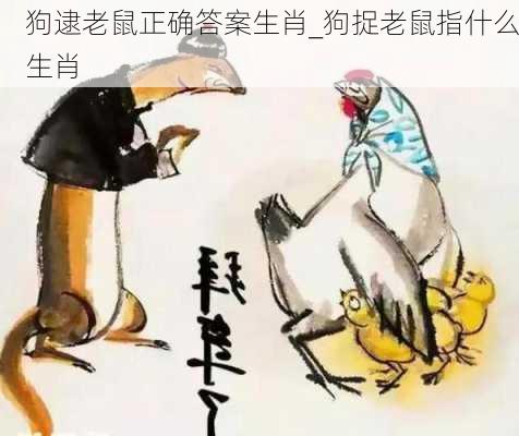 狗逮老鼠正确答案生肖_狗捉老鼠指什么生肖