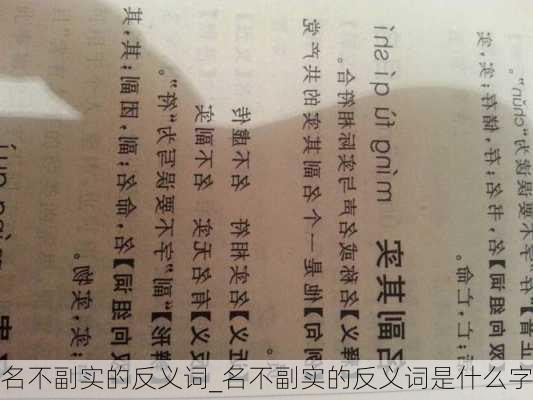 名不副实的反义词_名不副实的反义词是什么字