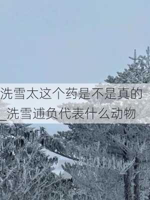 洗雪太这个药是不是真的_洗雪逋负代表什么动物