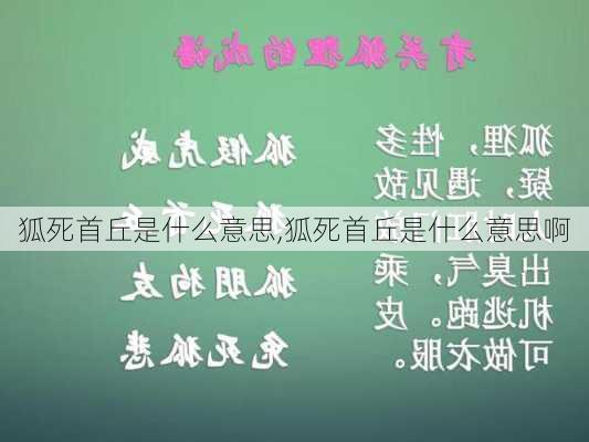 狐死首丘是什么意思,狐死首丘是什么意思啊