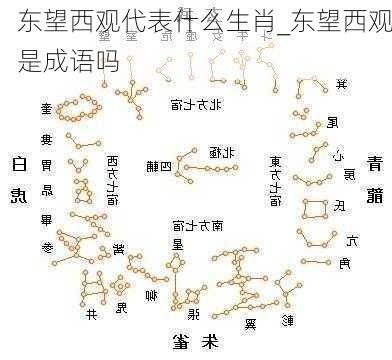 东望西观代表什么生肖_东望西观是成语吗