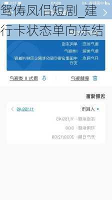 鸳俦凤侣短剧_建行卡状态单向冻结