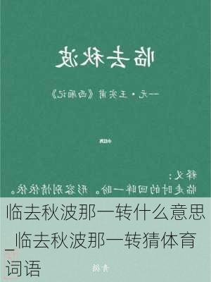 临去秋波那一转什么意思_临去秋波那一转猜体育词语