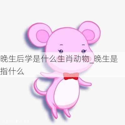 晚生后学是什么生肖动物_晚生是指什么