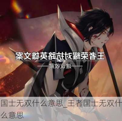 国士无双什么意思_王者国士无双什么意思