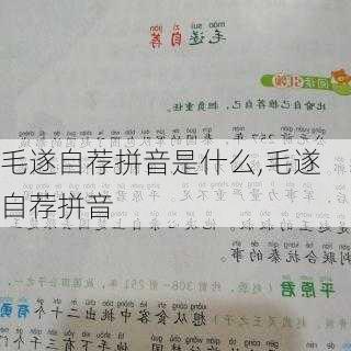 毛遂自荐拼音是什么,毛遂自荐拼音