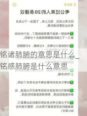 铭诸肺腑的意思是什么_铭感肺腑是什么意思