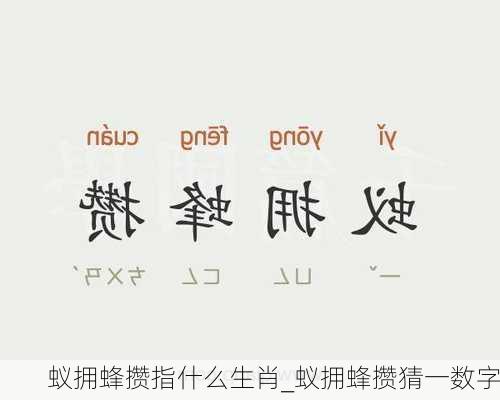 蚁拥蜂攒指什么生肖_蚁拥蜂攒猜一数字