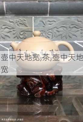 壶中天地宽,茶,壶中天地宽