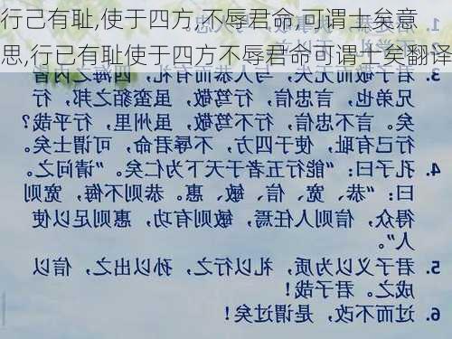 行己有耻,使于四方,不辱君命,可谓士矣意思,行已有耻使于四方不辱君命可谓士矣翻译