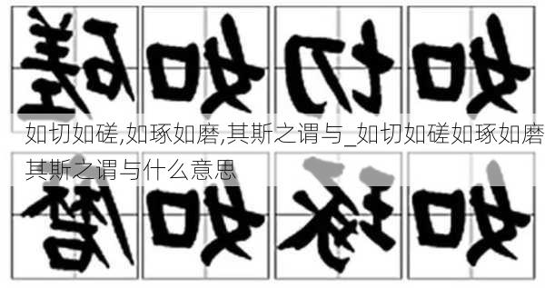 如切如磋,如琢如磨,其斯之谓与_如切如磋如琢如磨其斯之谓与什么意思