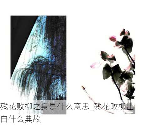 残花败柳之身是什么意思_残花败柳出自什么典故