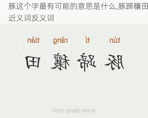 豚这个字最有可能的意思是什么,豚蹄穰田近义词反义词