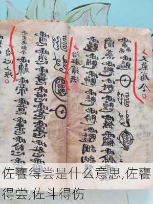 佐饔得尝是什么意思,佐饔得尝,佐斗得伤