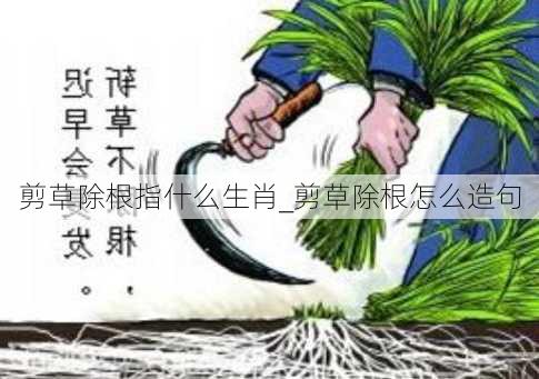 剪草除根指什么生肖_剪草除根怎么造句