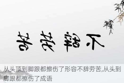 从头顶到脚跟都擦伤了形容不辞劳苦,从头到脚跟都擦伤了成语