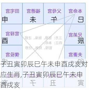 子丑寅卯辰巳午未申酉戌亥对应生肖,子丑寅卯辰巳午未申酉戌亥