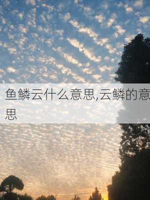 鱼鳞云什么意思,云鳞的意思