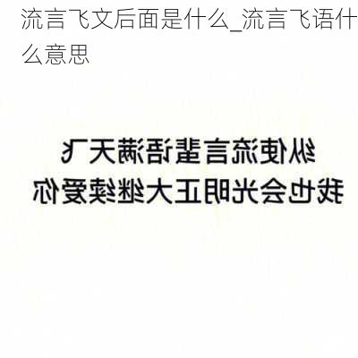 流言飞文后面是什么_流言飞语什么意思